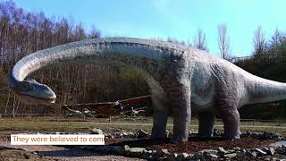 Did You Know Incredible Seismosaurus Facts [upl. by Elisee]