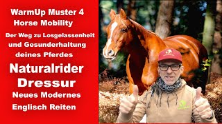 Warmup Muster 4 Lektion zur Losgelassenheit mehr Kontrolle über dein Pferd übertreten lassen [upl. by Johppa]