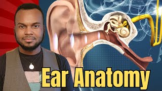 Ear Anatomy EXPLAINED in 3 Minutes [upl. by Kiri]