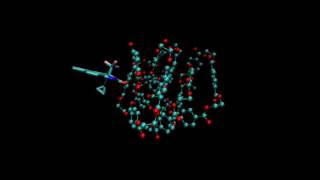 Molecular dynamics simulation of drug uptake by polymer [upl. by Latsirc]