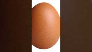 Egg egg egglife eggs fypage fypシ゚viral foryou foryoupage fypyoutube for foryourpage yolk [upl. by Aydin]