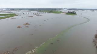 Reevediep stroomt mee met hoogwater IJssel [upl. by Osnohpla]