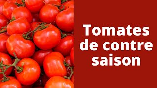 Investir ou entreprendre en agriculture en Afrique  la tomate de contre saison 210 [upl. by Townie]