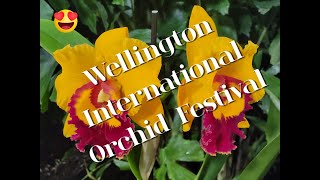 Wellington International Orchid Festival Feb 2024 [upl. by Anifares]