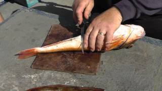 Preparing A Gurnard [upl. by Dewees]