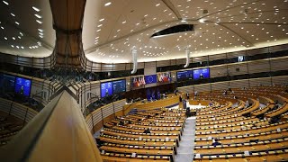 Elezioni Trump il Parlamento europeo apre al dialogo ma preoccupano i dazi [upl. by Helenka]