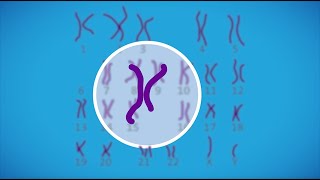 Prenatal testing for chromosomal abnormalities [upl. by Alekram]