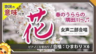 花【合唱】滝廉太郎 byひまわり🌻×6 歌詞の意味付き【日本の歌百選】2024 [upl. by Einattirb]