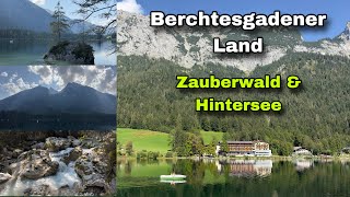 Berchtesgadener Land  Zauberwald amp Hintersee [upl. by Bianchi]