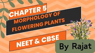 Morphology of flowering plants  Class 11 [upl. by Luna931]