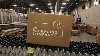 Who is The Packaging Company [upl. by Salahi]