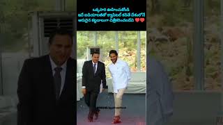 ఇప్పుడు చెప్పండి అన్నా ఎవరిది విజనరీ అంటేysjaganysrcprushikondapalaceandhrapradeshpolitics [upl. by Aikyn]