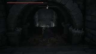 Where To Find Deathroot in Black Knife Catacombs  Elden Ring [upl. by Wilson]