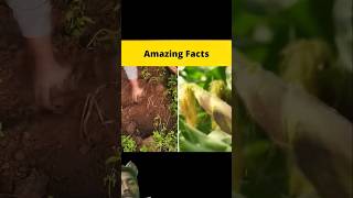 darwin factbeast bts funny facts science freefire sessiz automobile sigmabillionaire [upl. by Rand]