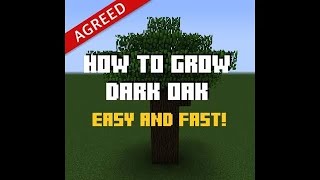 Minecraft Tutorial  How to grow dark oak trees EASY [upl. by Briscoe]