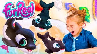 Hasbro Furreal Koi the Kisser Orca Whale Interactive Plush Toy Unboxing  SUPER CUTE [upl. by Yumuk]