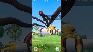 Got almost a hundo 96IV giratina giratina legendarylegendaryraids pokemonpokemongoremoteraid [upl. by Ynnor]