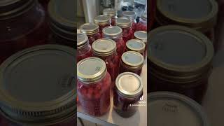 Its cranberry time canning canningtok canningandpreserving foodpreservation [upl. by Winterbottom233]