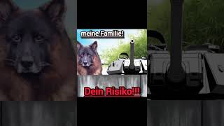 Mein Zuhause altdeutscherschäferhund germanshepherd deutscherschaferhund [upl. by Attej]