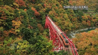 富山黒部峡谷鉄道の紅葉風景UHD4K顔声曲無EOS R  Autumn leaves in Kurobe gorge [upl. by Orimar]