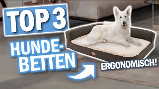 Die besten HUNDEBETTEN 2024  Beste Hundebetten Hundesofas [upl. by Ellecrad]