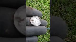 First Ever Silver Coin with The Teknetics T2 metaldetecting [upl. by Cailly]