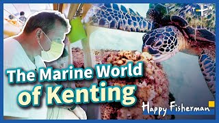 Exploring Kentings Underwater Wonders Diving Adventures  EP 29  Happy Fisherman [upl. by Niryt]