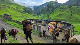 Very Beautiful Nepali Himalayan Village Life । Living Close Nature । Organic Village Life Rain Time [upl. by Akedijn]