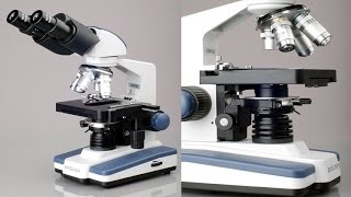 AmScope Biological Binocular Siedentopf Compound Microscope With 3D Double Layer Mechanical Stage [upl. by Bramwell]