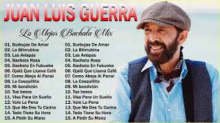 Juan Luis Guerra EXITOS Sus Mejores Canciones  Juan Luis Guerra Mix Nuevo 2024 8 [upl. by Girand226]