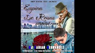 Andy Rivera Ft El Dalmation Espina de Rosa Extended Remix By Dj Fabian Hernandez [upl. by Acinorehs]