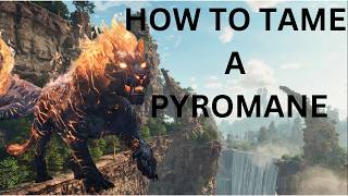 Extremely Fast Pyromane Taming Guide Must Watch ASA [upl. by Kriste]