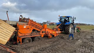 Narcissen planten en wortels rooien in de modder 🚜🥕 [upl. by Sirap]