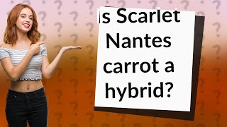 Is Scarlet Nantes carrot a hybrid [upl. by Homer]