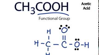 CH3COOH Lewis Structure Acetic acid [upl. by Banna]