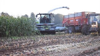 Sarl Saucet Ensilage 2017 2 X Claas Jaguar 950amp960 et JCB 416S [upl. by Dennie]