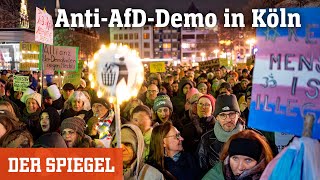 AntiAfDDemo in Köln »So weit darf es nicht kommen«  DER SPIEGEL [upl. by Curkell793]