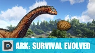 KIBBLE BRONTO  ARK Survival Evolved [upl. by Eelrebma]