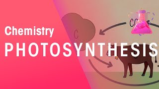 Photosynthesis amp Respiration  Reactions  Chemistry  FuseSchool [upl. by Freytag]