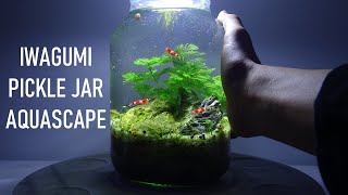 PICKLE JAR AQUARIUM  Portable Iwagumi Aquascape  no filter no heater walstad method setup [upl. by Halle]