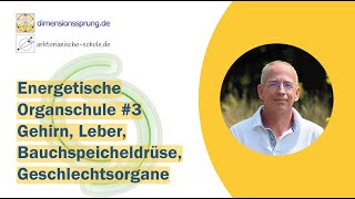 Energetische Organschule 3 Gehirn Leber Bauchspeicheldrüse Geschlechtsorgane [upl. by Ollehcram]