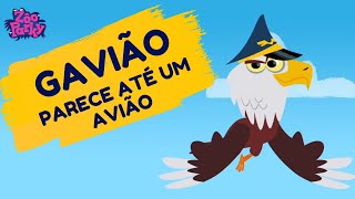 Zooparky  O Gavião  Clipe Infantil Musical Oficial [upl. by Eimoan941]