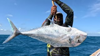 Guerreiros Do Mar VIVENCIE COMO EU CONSEGUIR PESCAR UM PEIXE DE MAIS DE 12 KG NUMA LINHA TÃO FINA [upl. by Gareri]