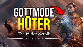 Völlig ÜBERTRIEBEN Der BESTE Solo Hüter Build in ESO [upl. by Ernesta]