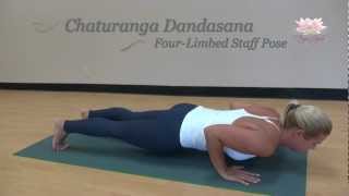 FourLimbed Staff Pose Chaturanga Dandasana How to do [upl. by Elwin717]