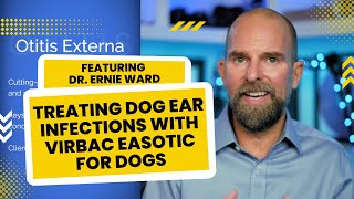 Treating Dog Ear Infections with Virbac Easotic featuring Dr Ernie Ward [upl. by Eelyahs]