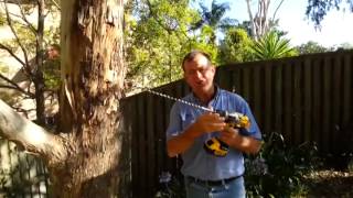 Termite Nest Treatment [upl. by Veronike]