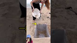 PRANK BESTIE PELIT DI KOLAM PASIR PANTAI ⁉️shorts dubbing funny [upl. by Alidis198]