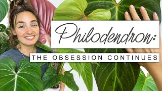 Sorry If You Buy More Plants After This 😬 PHILODENDRON Collection Tour Growth Updates  FUN FACTS 🌱 [upl. by Convery]