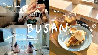 BUSAN TRIP  train to busan 😱 Haeundae Sky Capsule airbnb cantik di Busan [upl. by Kcitrap]